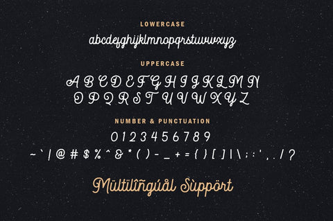 Autoguard Monoline Script Font Suby Studio 