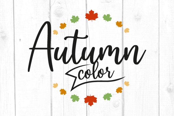 Autumn Color Svg SVG cricutfilesmg 