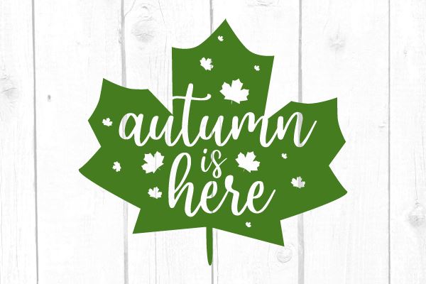 Autumn Is Here Svg SVG cricutfilesmg 