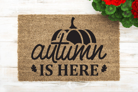 Autumn is here SVG SVG Regulrcrative 