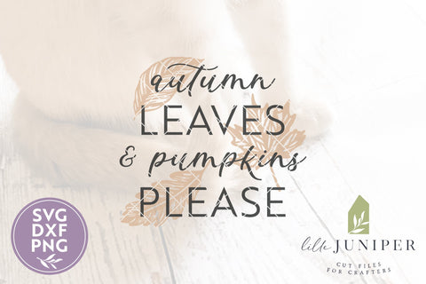 Autumn Leaves & Pumpkins Please SVG | Fall SVG SVG LilleJuniper 