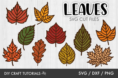 Autumn Leaves SVG | Fall Leaves SVG SVG DIY Craft Tutorials 