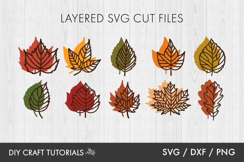 Autumn Leaves SVG | Fall Leaves SVG - So Fontsy