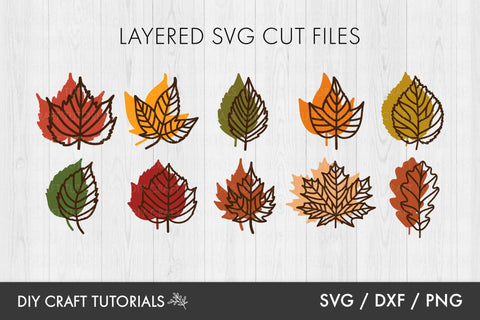 Autumn Leaves SVG | Fall Leaves SVG SVG DIY Craft Tutorials 