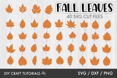 Autumn Leaves SVG | Fall SVG SVG DIY Craft Tutorials 