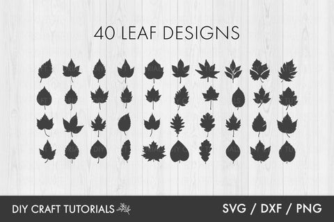 Autumn Leaves SVG | Fall SVG SVG DIY Craft Tutorials 