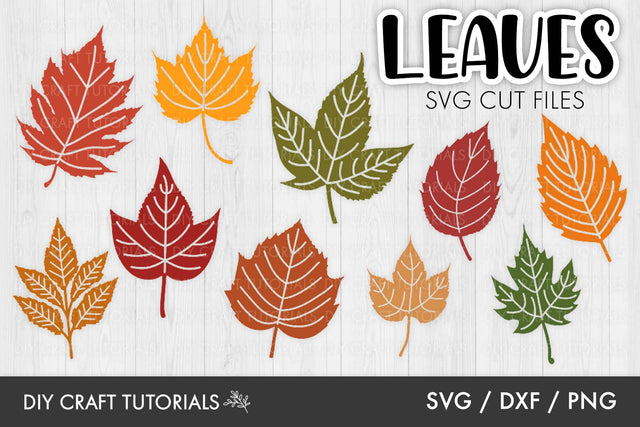 Autumn Leaves SVG SVG DIY Craft Tutorials 