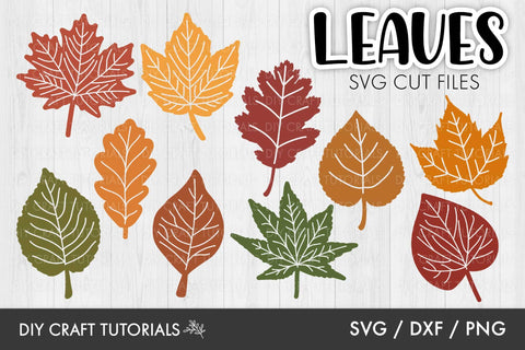 Autumn Leaves SVG SVG DIY Craft Tutorials 