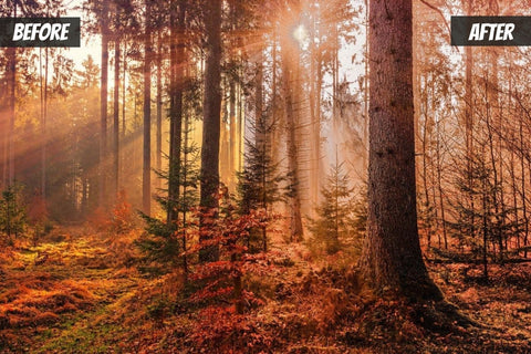 Autumn Mobile Lightroom Preset | Blogger presets SVG SvgOcean 