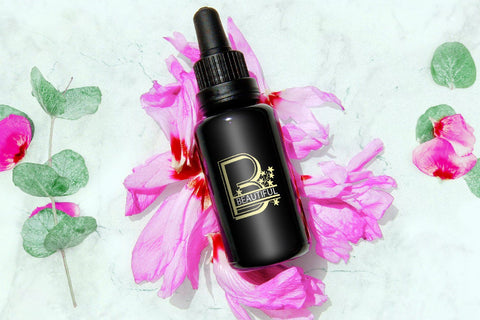 Autumn Split Alphabet A-Z Svg eps ai png pdf SVG zafrans studio 