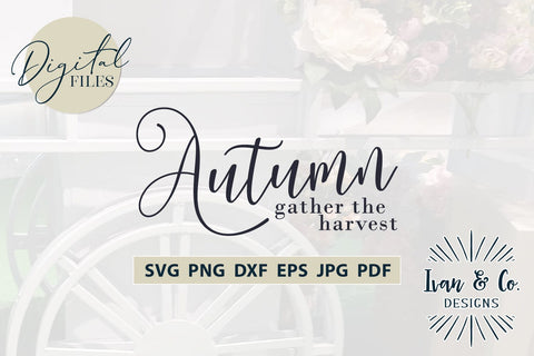 Autumn Svg Files, Gather The Harvest Svg, Fall Svg, Fall Home Decor Svg, Cricut Svg, Silhouette Designs, Digital Cut Files, JPG DXF PNG (1562639221) SVG Ivan & Co. Designs 