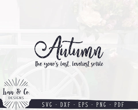 Autumn The Year's Last Loveliest Smile SVG Files | Fall SVG | Farmhouse SVG | Commercial Use | Cricut | Silhouette | Cut Files (1043582374) SVG Ivan & Co. Designs 