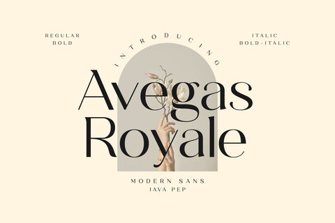 Avegas Royale - Modern Sans Font Javapep 