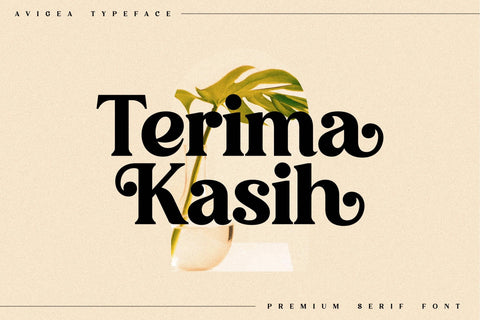 Avigea Typeface Font Storytype Studio 