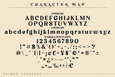 Avigea Typeface Font Storytype Studio 