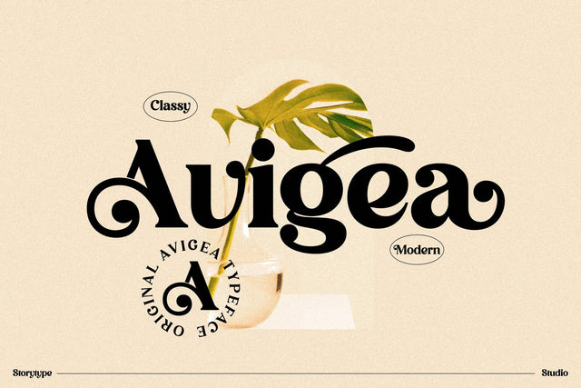 Avigea Typeface Font Storytype Studio 