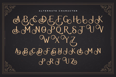 Avins Bake - Decorative Serif Font Font StringLabs 