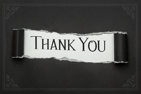 Avins Bake - Decorative Serif Font Font StringLabs 