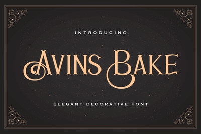 Avins Bake - Decorative Serif Font Font StringLabs 