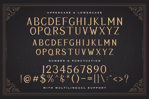 Avins Bake - Decorative Serif Font Font StringLabs 