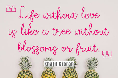 Avrilya Font Madatype Studio 