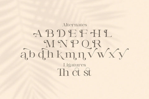 Awaken - Casual Serif Font Font StringLabs 