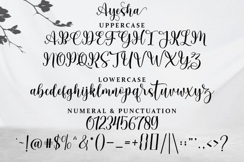 Ayesha Script Font Rotterlab studio 