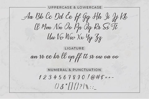 Ayrton Pight Font Attract Studio 