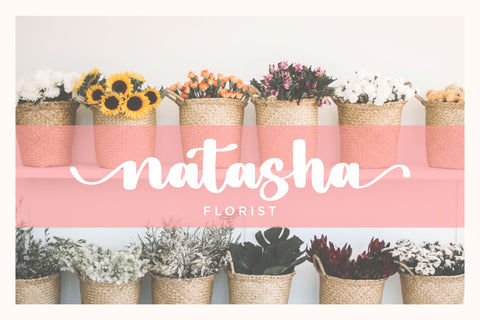 Ayuscript Font Qwrtype Foundry 