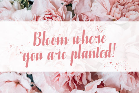 Azteciya - Handwritten Font Font StringLabs 