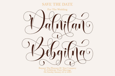 Babenta - Modern Calligraphy Font Font IRF Lab Studio 