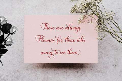 Baby Angelonia Font gatype 