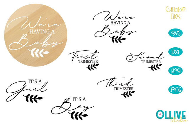 Baby Announcement and Pregnancy Milestone SVG Bundle SVG Ollive Studio 
