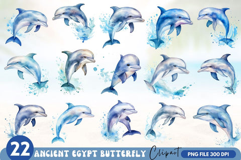 Baby Dolphin Watercolor Clipart Bundle Sublimation Regulrcrative 