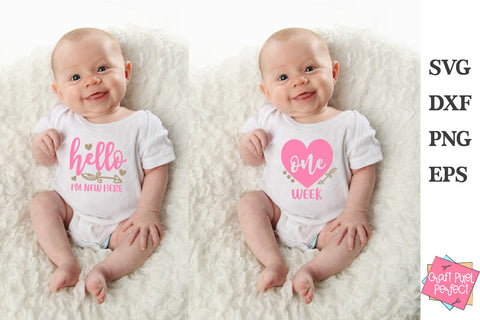 Baby Girl Milestones Bundle Svg, Baby Months Svg, Monthly Milestones Svg SVG Craft Pixel Perfect 