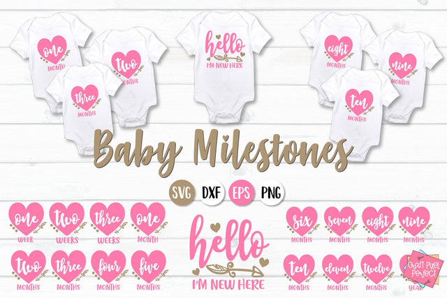 Baby Girl Milestones Bundle Svg, Baby Months Svg, Monthly Milestones Svg SVG Craft Pixel Perfect 