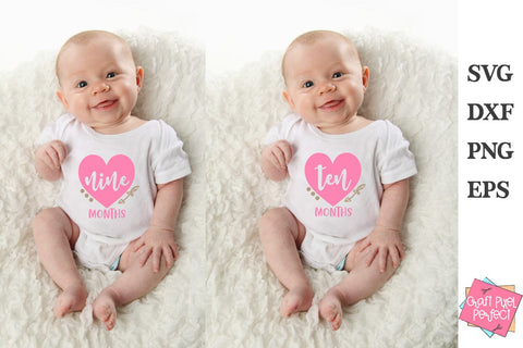 Baby Girl Milestones Bundle Svg, Baby Months Svg, Monthly Milestones Svg SVG Craft Pixel Perfect 
