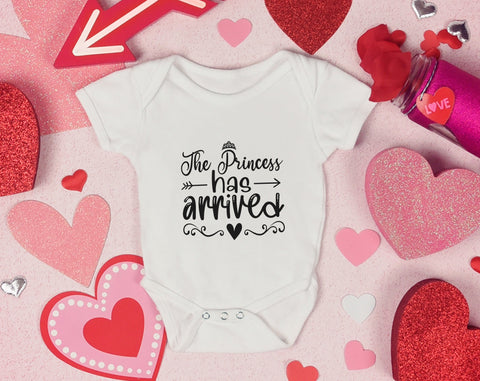 Baby Girl SVG Bundle, 6 Designs, Feed Me And Tell Me I'm Pretty SVG, Little Boss Lady SVG, The Princess Has Arrived SVG SVG HappyDesignStudio 