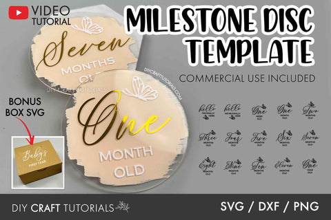 Baby Milestone Disc SVG - Butterfly SVG SVG DIY Craft Tutorials 