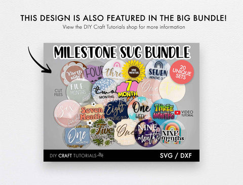 Baby Milestone Disc SVG - Floral SVG SVG DIY Craft Tutorials 