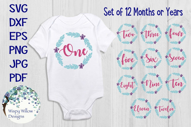 Baby Milestone Monthly Bundle SVG Wispy Willow Designs