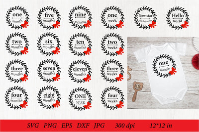Baby Milestone SVG. Baby Month Milestone. Baby Month SVG SVG Olga Terlyanskaya 