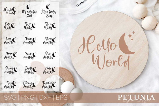 Baby Milestones | Baby Milestone Markers SVG Bundle SVG Petunia Digital Design 