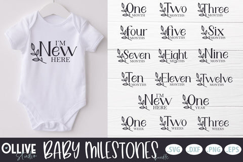 Baby Milestones Bundle | Baby Monthly Milestones SVG SVG Ollive Studio 