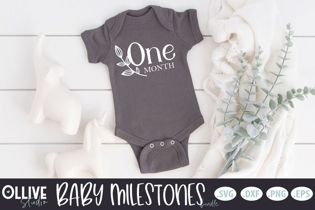 Baby Milestones Bundle | Baby Monthly Milestones SVG - So Fontsy