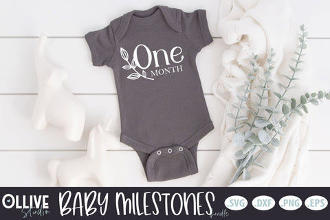 Baby Milestones Bundle | Baby Monthly Milestones SVG SVG Ollive Studio 