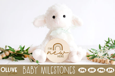 Baby Milestones Bundle SVG | Rainbow Milestones SVG SVG Ollive Studio 