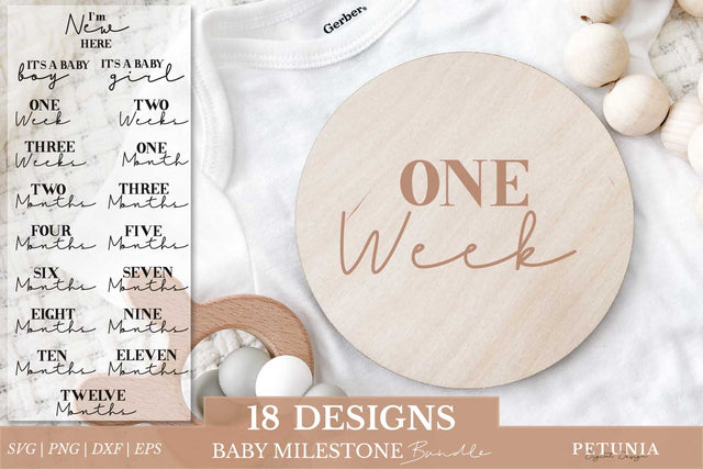 Baby Milestones SVG | Baby Monthly Milestone SVG SVG Petunia Digital Design 