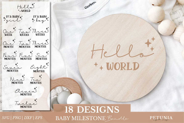 Baby Milestones SVG | Baby Monthly Milestone SVG SVG Petunia Digital Design 