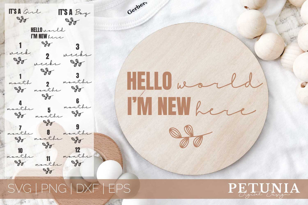 Baby Milestones SVG | Baby Monthly Milestones SVG Bundle - So Fontsy